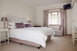 King Penguin Room