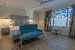 Gentoo Penguin Room with King bed 