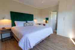Africa Penguin Room with king bed 