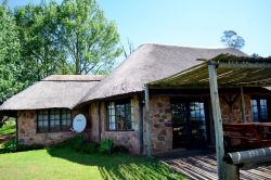 Plane Tree Chalet