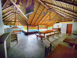 Large Lapa