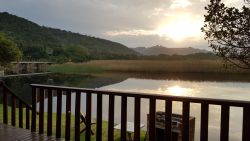 BBQ on the River