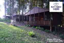 the 3 standard family cabins