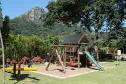 Jungle Gym