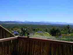 View and garden from the units