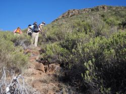 hiking