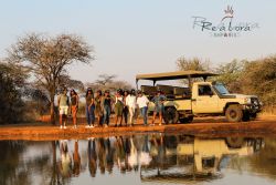 Discover the beauty of the Bushveld with our 2-hour interactive Game Drive at Re a Lora Lodge