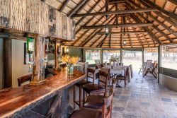 Buffalo is one of the species you can expect to see on a game drive a t Re a Lora Lodge