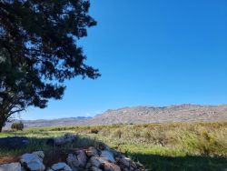 Basic Group Campsite