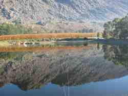 Reflections on the farm dam. Bass Fishing available - only catch & release.