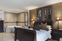 Zircoin Executive / Honeymoon Suite