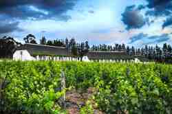 Rooms set amongst vineyards