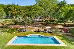 New pool
