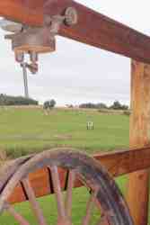 Driving range