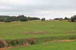 Driving Range