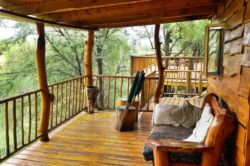 Tree Houses built by an artist