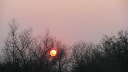 Enjoy picturesque sunsets