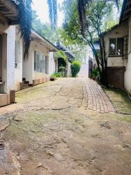 passageways of the yard 