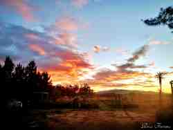 Ross Farms - Sunsets