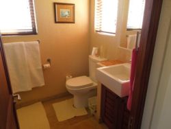 Dragonfly Bathroom