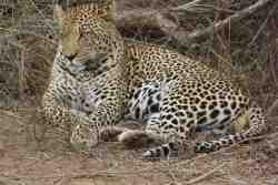 Bordering kruger park