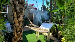 Hammock