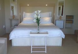Oyster Luxury room