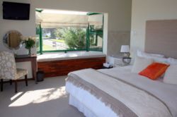 Oyster room, luxury room