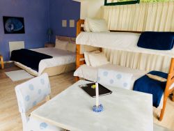 Periwinkle room