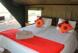 Tented Chalets - TENTED CHALETS – Springbok (Unit 1), Impala (Unit 2), Waterbuck (Unit 4) and Sable (Unit 5)
Savannah has 4 Tented Chalets.  Each Tented Chalet has an en-suite bathroom with a shower, toilet and basin.  There is a King Size Bed OR 2 single beds.  An additional bed can be added for children or a 3rd guest.  Our Tents are built on a solid structure raised off the ground. This gives you a great view of the African Bushveld and the Vredefort Dome.  
Each Tent has its own deck with comfortable chairs and a table to enjoy a cold sundowner from our fully licenced bar. All units are equipped with a coffee/tea station and electric blankets.  It includes all bedding, towels and amenities. 
All room rates include breakfast.  Menu’s for lunch and dinner available.  
SELF-CATERING OPTIONS - Braai areas are available.  You are more than welcome to bring your own braai meat, charcoal, fire lighters and salads.  We will keep your food cold in our fridges.  Cutlery and Crockery will be provided.  No Alcohol allowed onto the premises.
