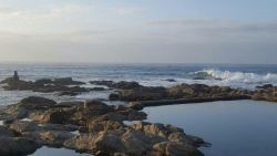 Tidal pool