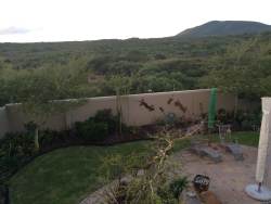 View from wrap around balcony