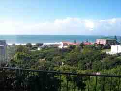 African Whisper Views