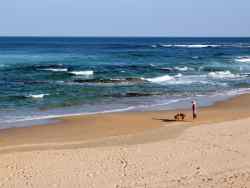 Beach within walking distance