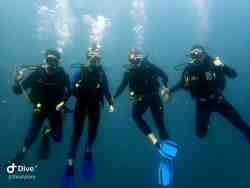 Recreational Scuba Diving