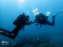 Scuba Diving Training