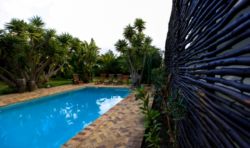 Swimming pool and Garden