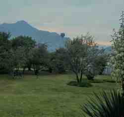 See-View Garden
Can you spot the hot air balloon ?