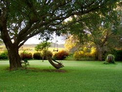 Garden view Selati 103