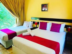 Triple Rooms