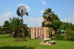 garden
