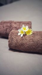 Sheilas Towels