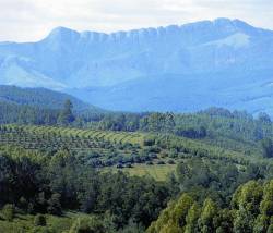 Agatha Mountains