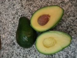 Situated on an avocado estate