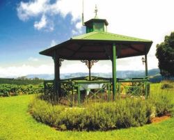 Gazebo 