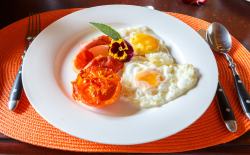 English Breakfast offering. comes with a buffet cold Continental Breakfast.