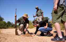 Walking Safaris