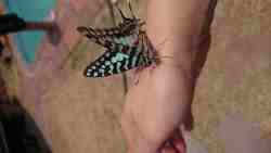 God's beauty is everywhere!