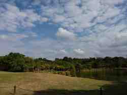 Walks along the Golf Course with dams and dense foliage