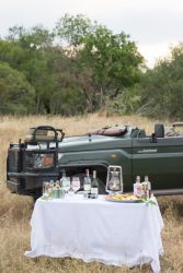 Aftersoon game drive drink stop